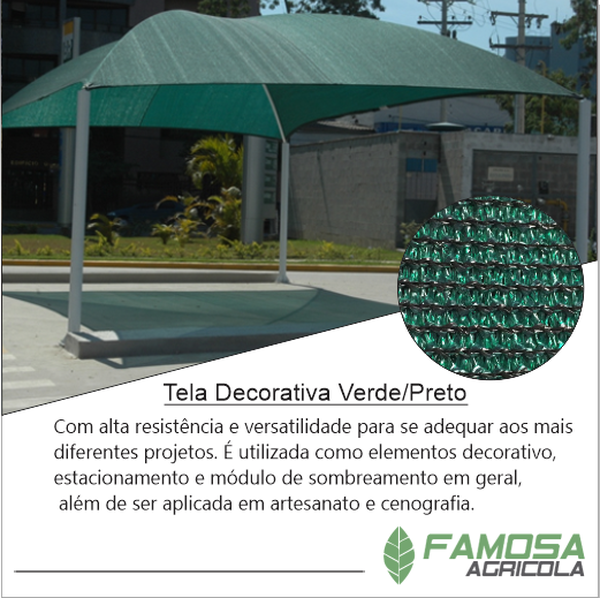 Tela Decorativa Verde/Preto