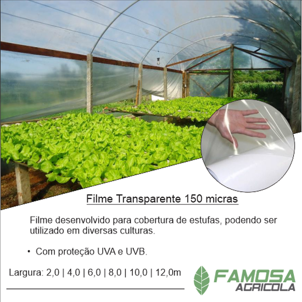 Filme Plástico Transparente 150 Micras 