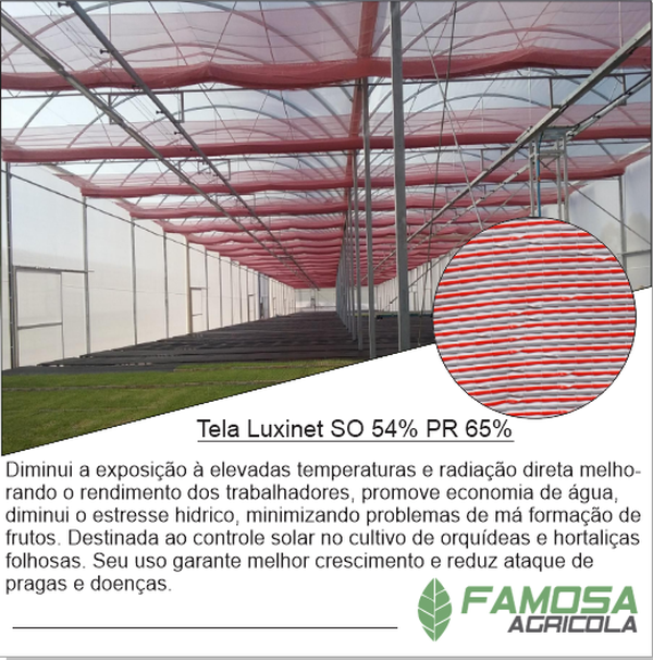 Tela Luxinet 54% 