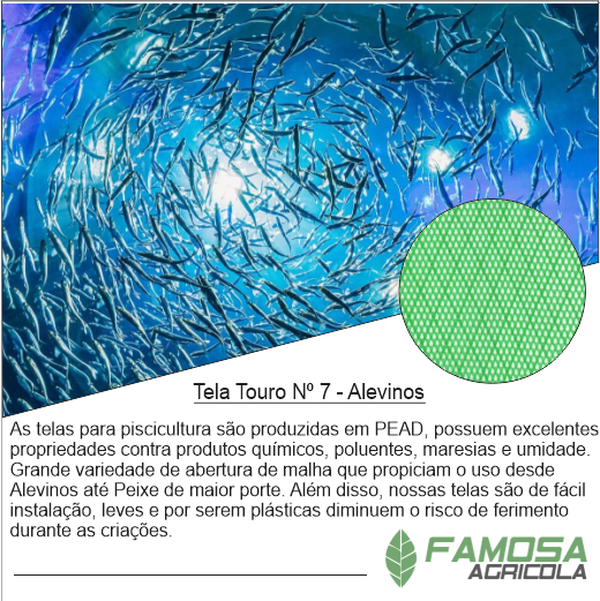 Tela Criação Alevinos nº 7 