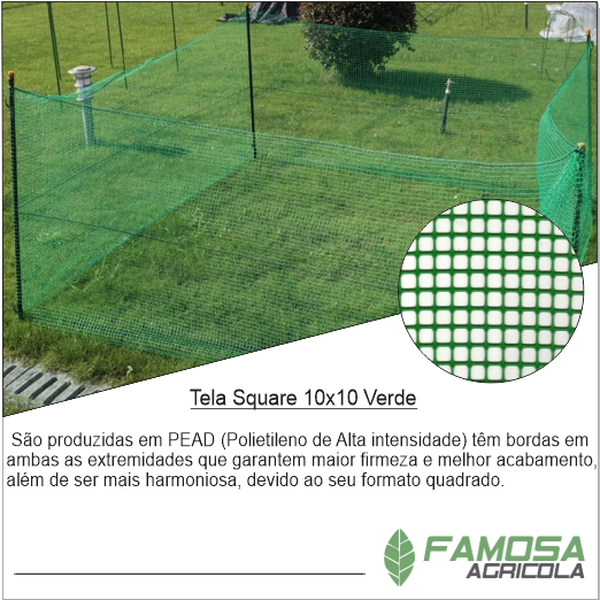 Tela Square 10x10 Verde