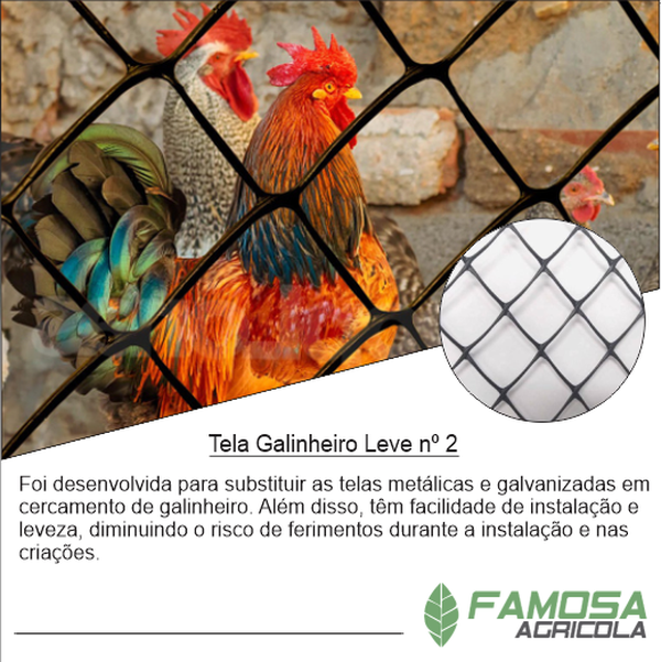 Tela Galinheiro Leve nº 2