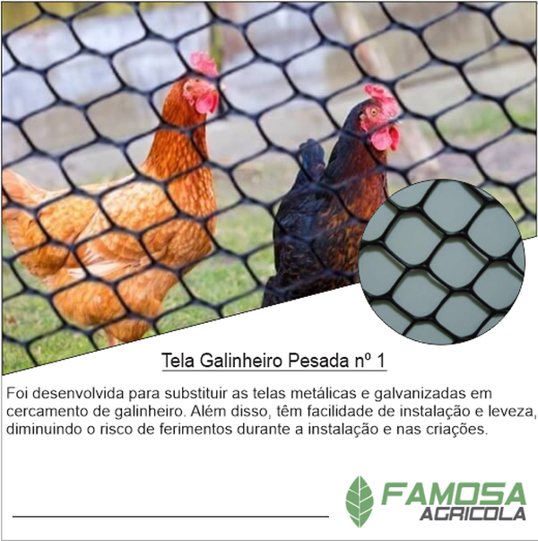 Tela Touro nº 1 Cercamento Área Rural Preta