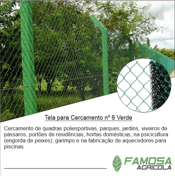 Tela Touro nº 6 Cercamento Verde