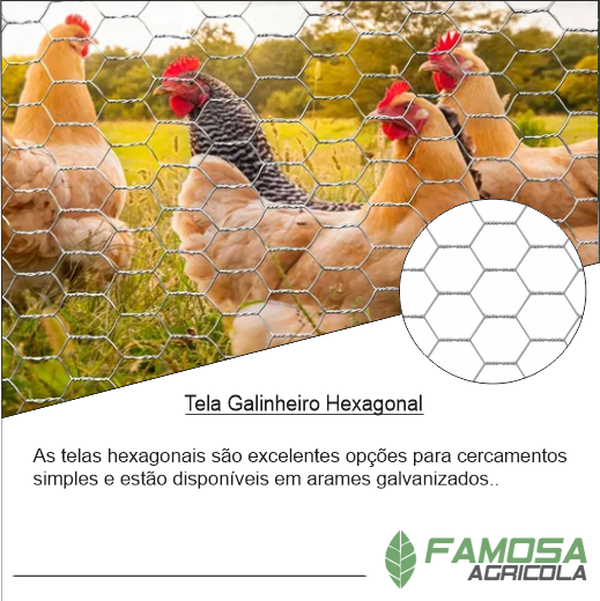 Tela Hexagonal Galinheiro 2 Fio 22 - 1,50x50