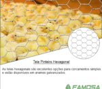 Tela Hexagonal Pinteiro 1- Fio 24 1,20x50
