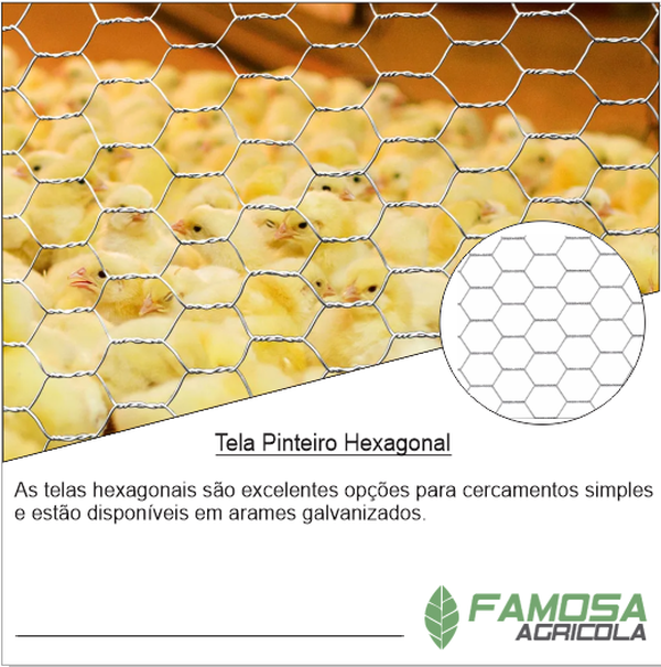 Tela Hexagonal Pinteiro 1- Fio 24 1,20x50
