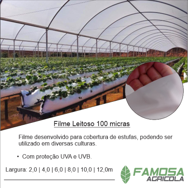 Filme Plástico Leitoso 100 Micras