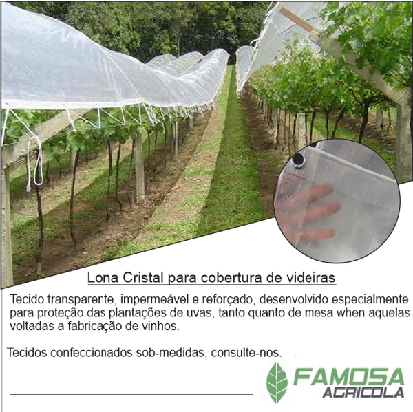 Rafia Cristal para Videira