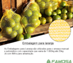 Saco para Laranja 5 Kilos Emablagem com 100 UND 