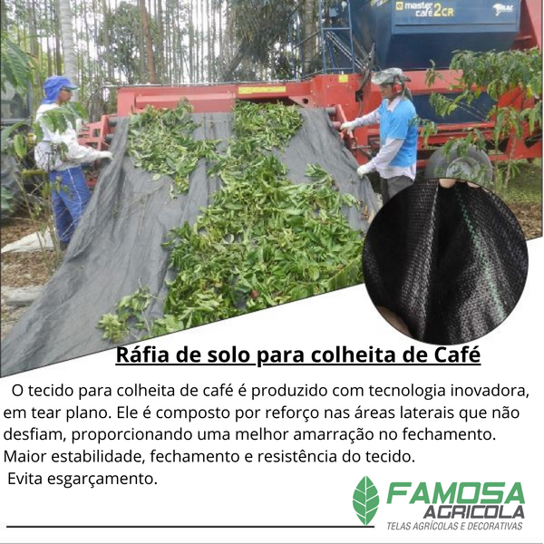 Rafia para Colheita de Café