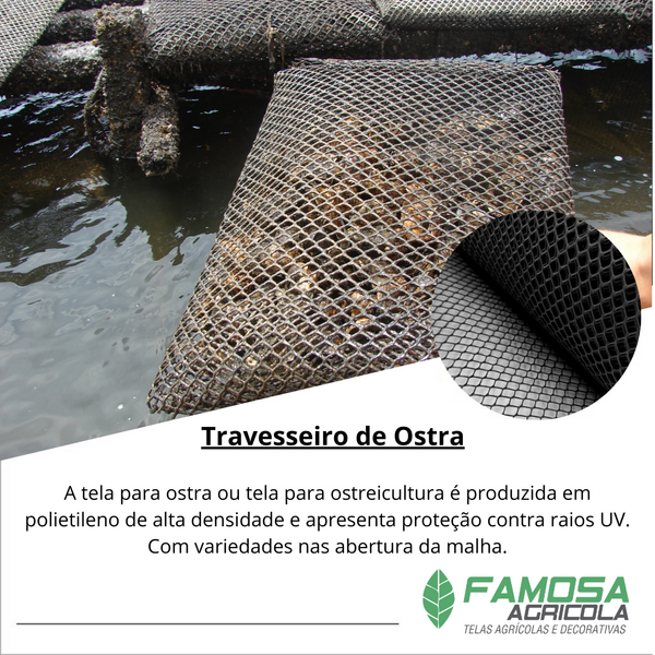 Travesseiro de Ostras 1,00x0,50- 9MM